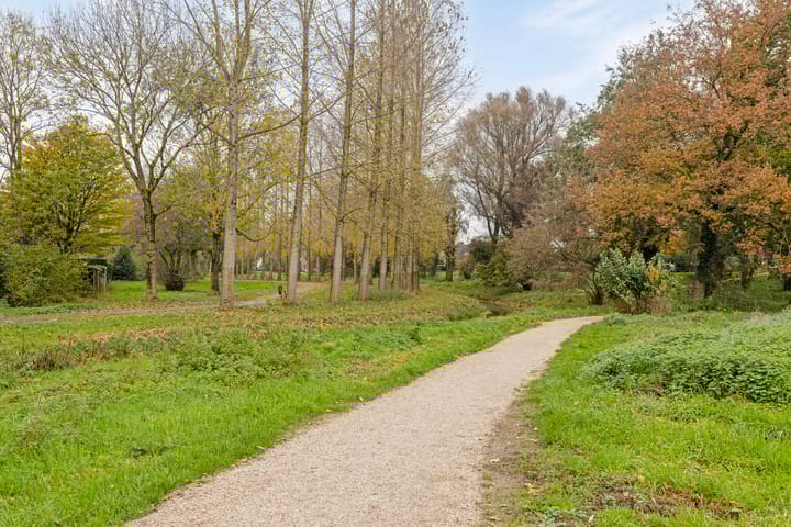 Foto 38 van Borgsche Rieten 97