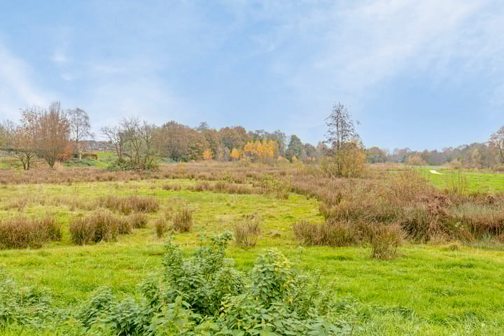 Foto 39 van Borgsche Rieten 97