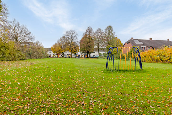 Foto 40 van Borgsche Rieten 97