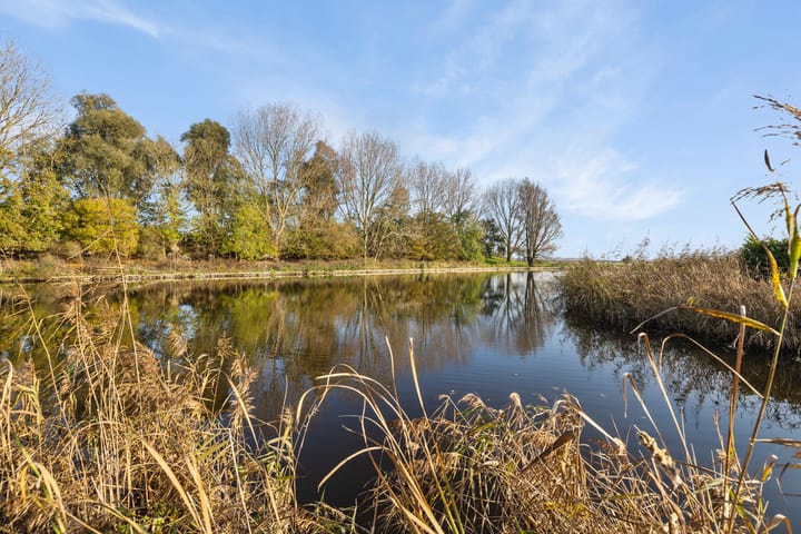 Foto 41 van Spijkerboor 51