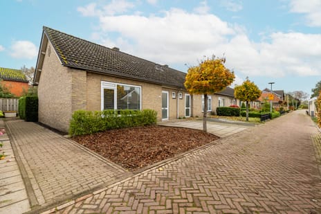 undefined main image