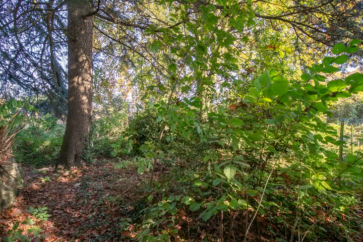 Photo 36 of Nieuwstraat 11