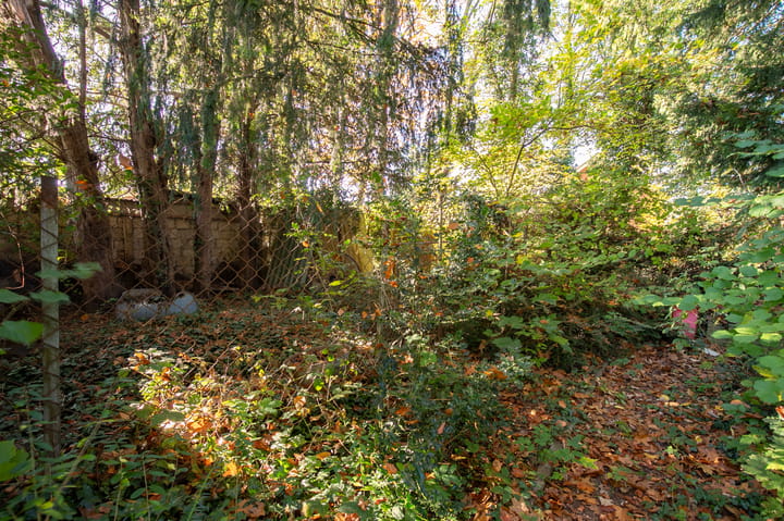 Photo 37 of Nieuwstraat 11