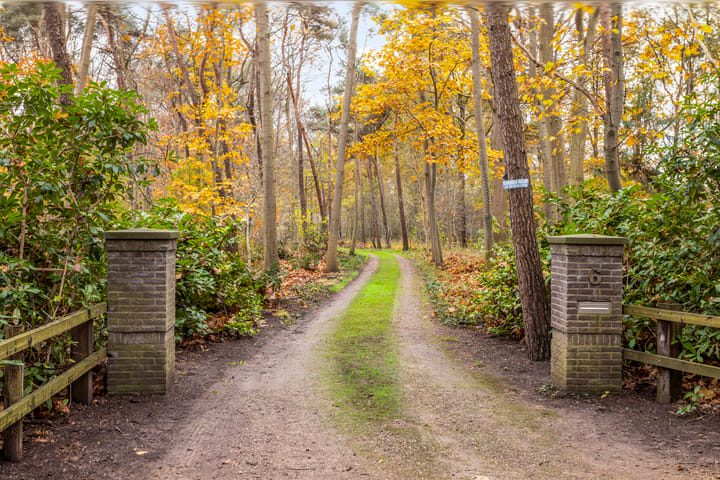 Foto 7 van Boermark 6