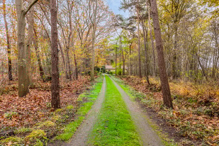 Foto 8 van Boermark 6