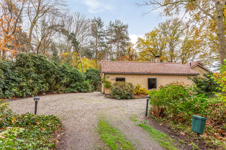 Foto 9 van Boermark 6