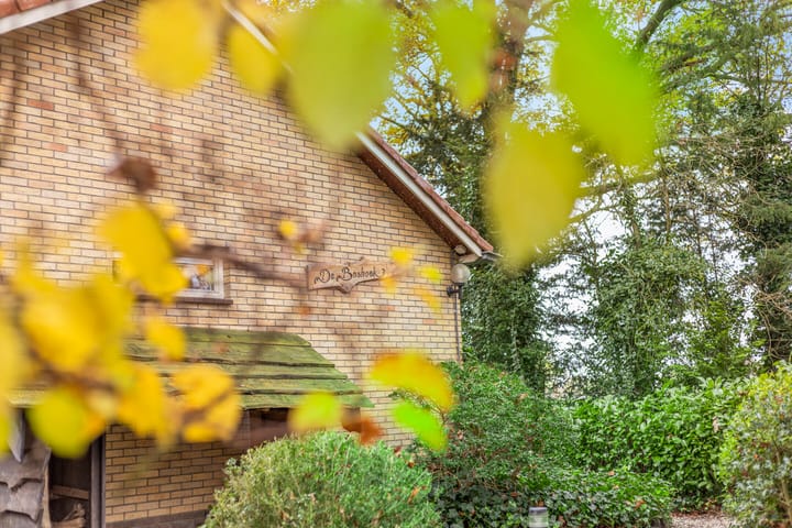 Foto 10 van Boermark 6