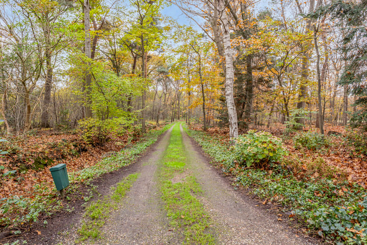 Foto 22 van Boermark 6