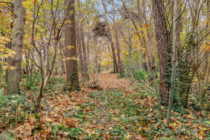 Foto 28 van Boermark 6