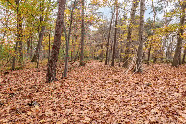 Foto 29 van Boermark 6