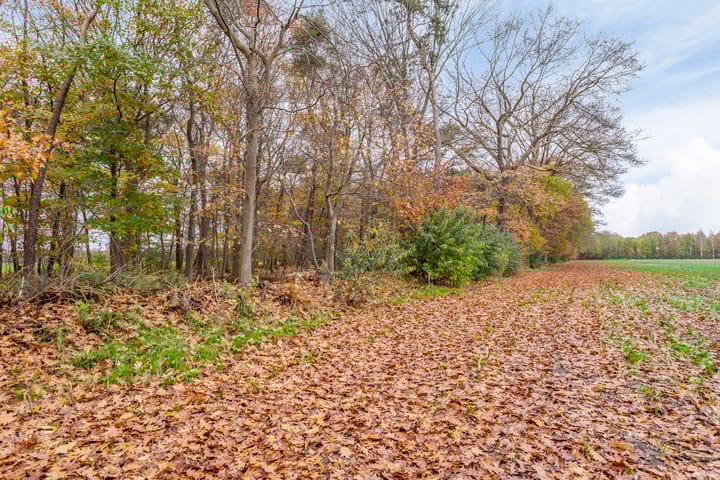 Foto 30 van Boermark 6