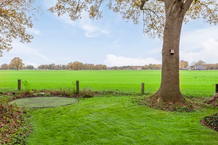 Foto 31 van Boermark 6