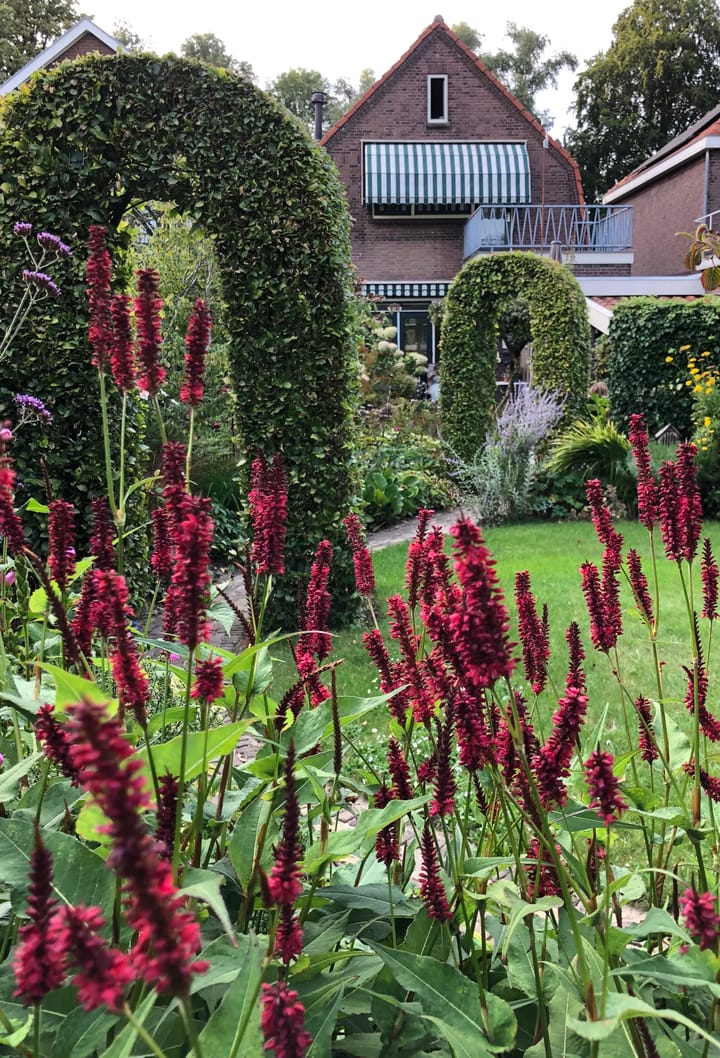 Foto 64 van Kwelkade 13