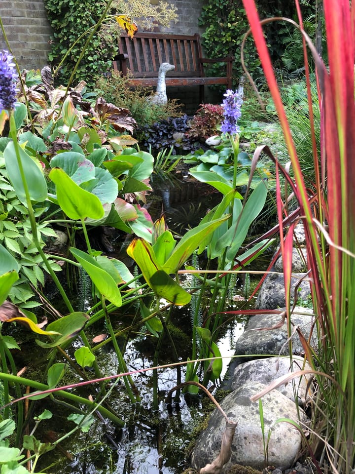 Foto 65 van Kwelkade 13