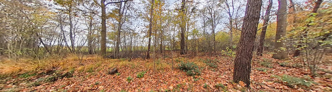 Bekijk 360° foto van Oprijlaan van Boermark 6