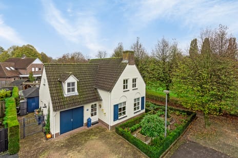 undefined main image