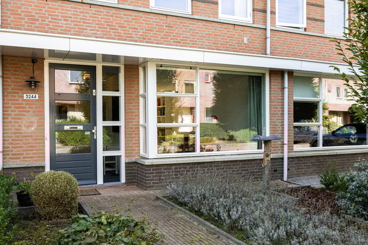 Foto 2 van de Flier 3244