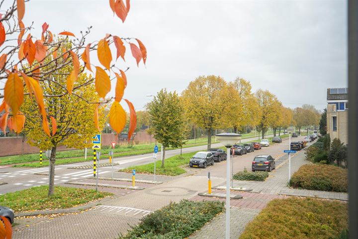 View photo 24 of Hoefbladlaan 13