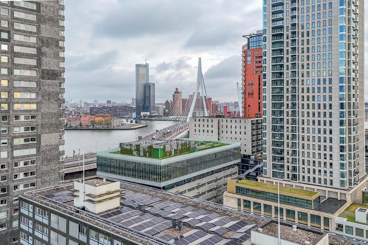 Foto 5 van Gedempte Zalmhaven 839