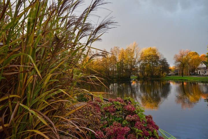 Foto 47 van Kalmoes 67