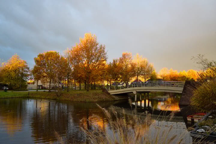 Foto 48 van Kalmoes 67