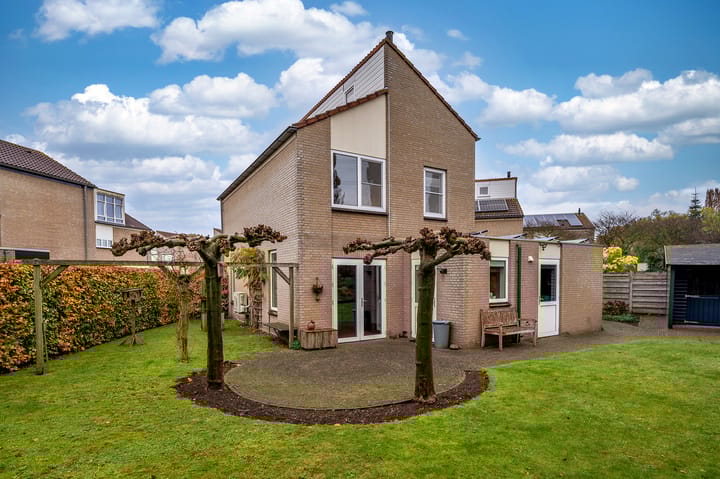 Foto 1 van Lenteklokje 4