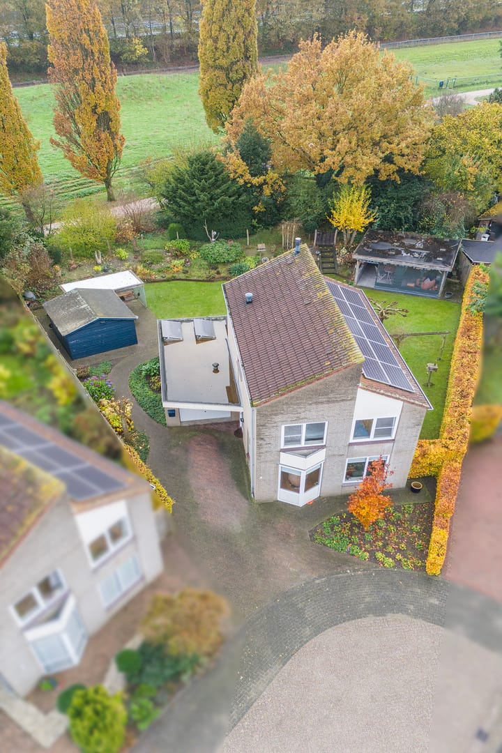 Foto 3 van Lenteklokje 4