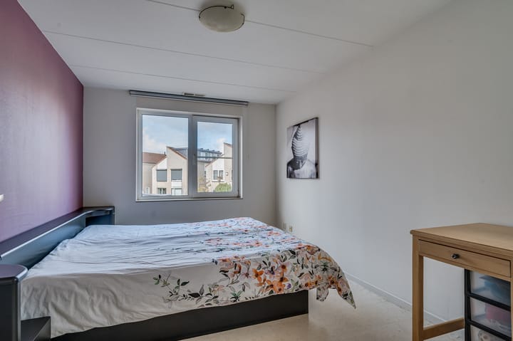 Foto 19 van Lenteklokje 4