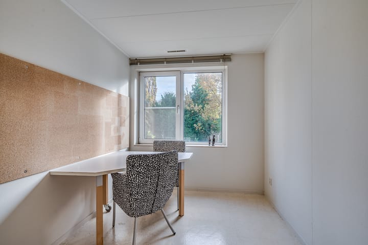 Foto 24 van Lenteklokje 4