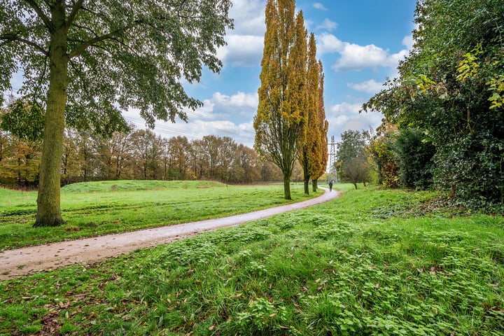 Bekijk foto 41 van Lenteklokje 4