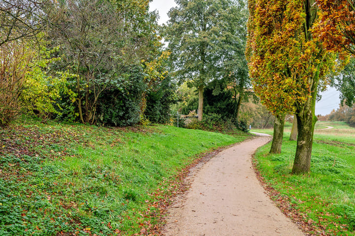 Foto 42 van Lenteklokje 4