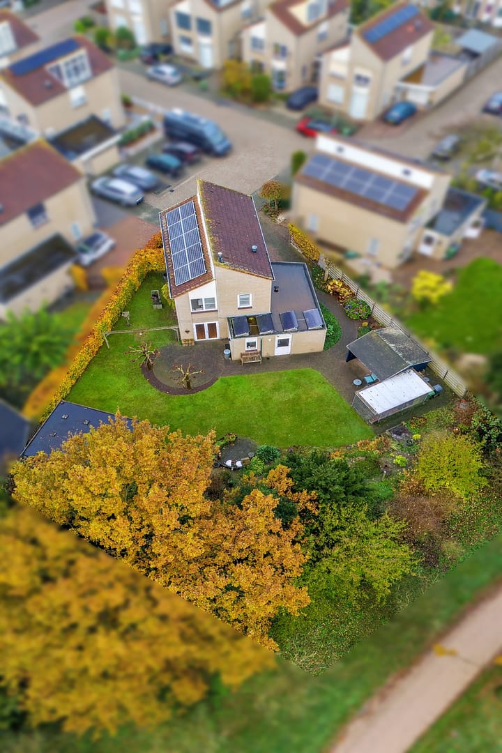 Foto 43 van Lenteklokje 4