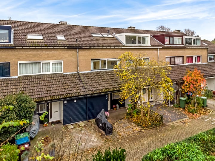 Foto 1 van Vliervlinder 12