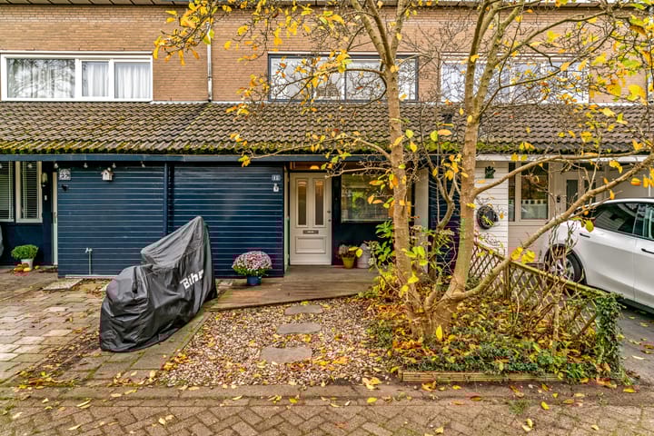 Foto 4 van Vliervlinder 12