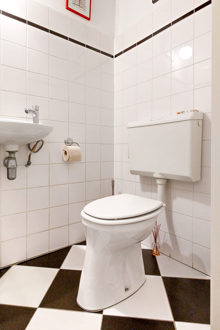 Foto 6 van Vliervlinder 12