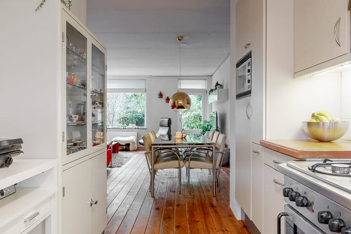 Foto 11 van Vliervlinder 12