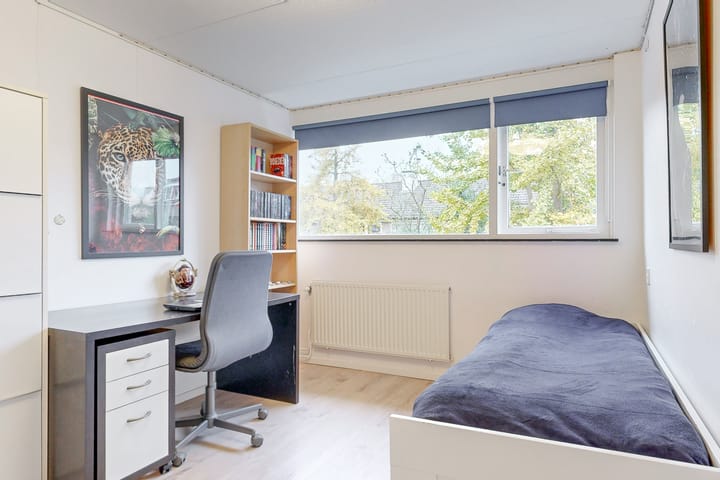 Foto 20 van Vliervlinder 12