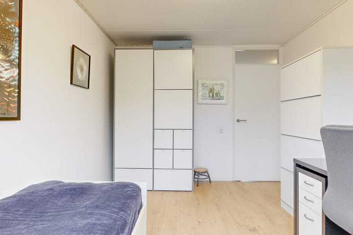 Foto 21 van Vliervlinder 12