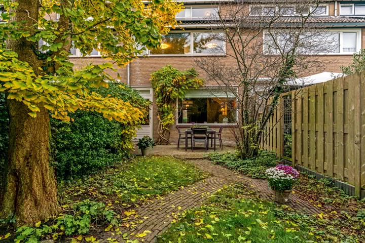 Foto 29 van Vliervlinder 12