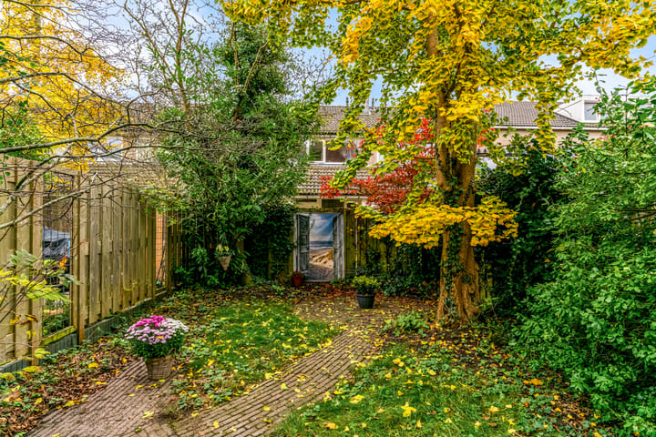 Foto 30 van Vliervlinder 12