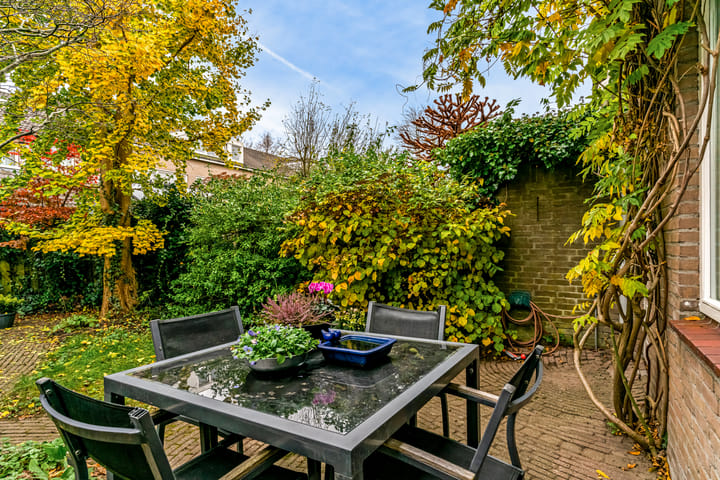 Foto 31 van Vliervlinder 12