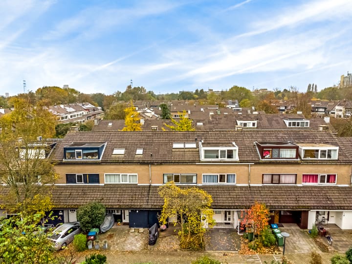 Foto 32 van Vliervlinder 12