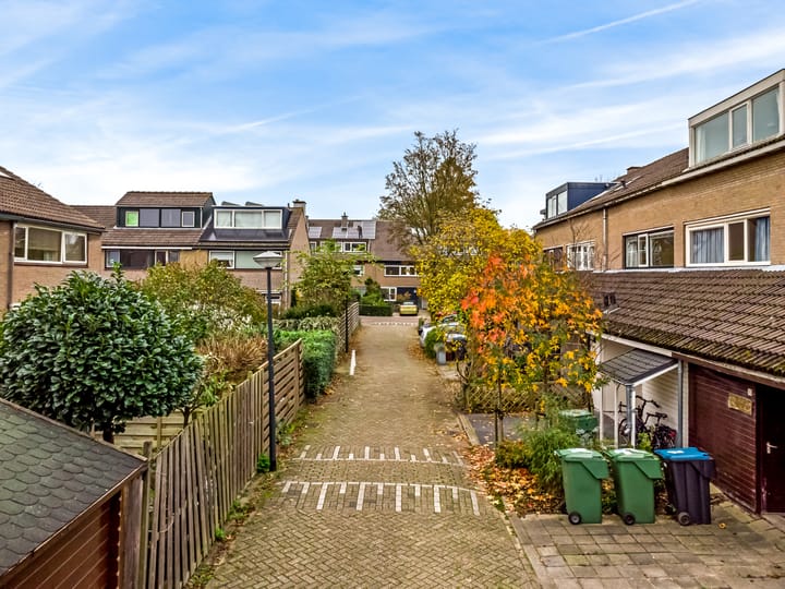 Foto 33 van Vliervlinder 12