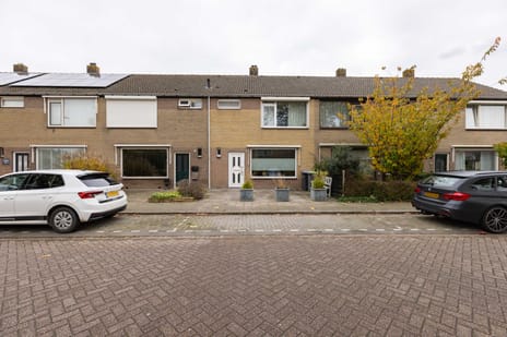 undefined main image