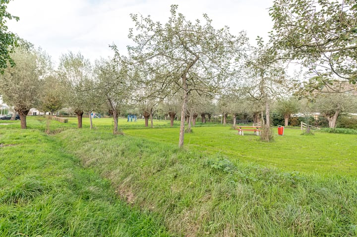 Foto 35 van Bijenstraat 7