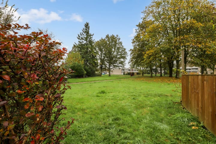 Foto 30 van Citadel 6