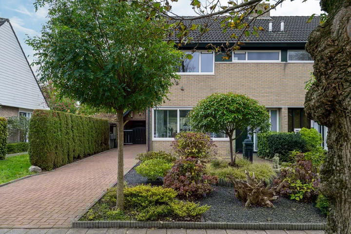 Foto 6 van Easter Omwei 36