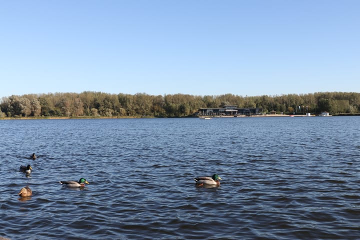 Photo 50 of H. Reptonstraat 54