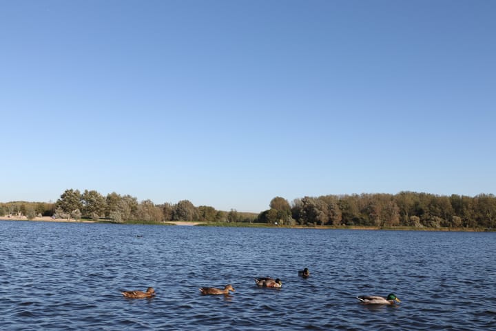 Photo 51 of H. Reptonstraat 54