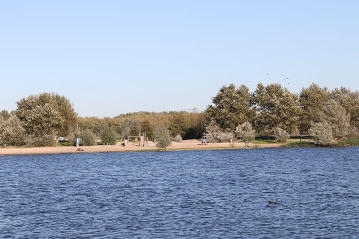 Photo 52 of H. Reptonstraat 54